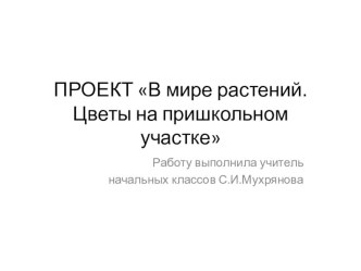 Презентация В мире растений. Цветы на пришкольном участке