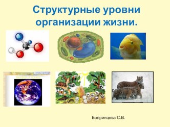 Презентация по биологии Структурные уровни организации жизни (10 класс, профильный уровень)