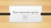 Презентация по окружающему миру Мои пернатые друзья