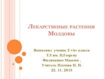 Презентация по познанию мира на тему:  Лекарственные растения Филипашко Максим, 2 класс