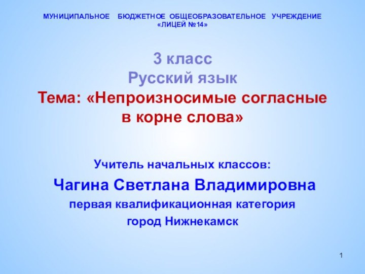 МУНИЦИПАЛЬНОЕ  БЮДЖЕТНОЕ ОБЩЕОБРАЗОВАТЕЛЬНОЕ  УЧРЕЖДЕНИЕ «ЛИЦЕЙ №14»  3 класс