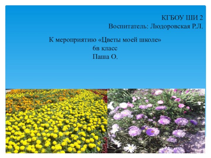 КГБОУ ШИ 2 Воспитатель: Людоровская Р.Л.К мероприятию «Цветы моей школе»6в классПаша О.