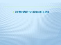 Методическая разработка по биологии к уроку :Многообразие млекопитающих ( Кошачьи)