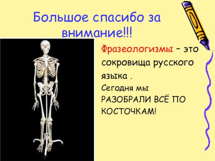 Большое спасибо за внимание!!!Фразеологизмы – это сокровища русскогоязыка . Сегодня мыРАЗОБРАЛИ ВСЁ ПО КОСТОЧКАМ!