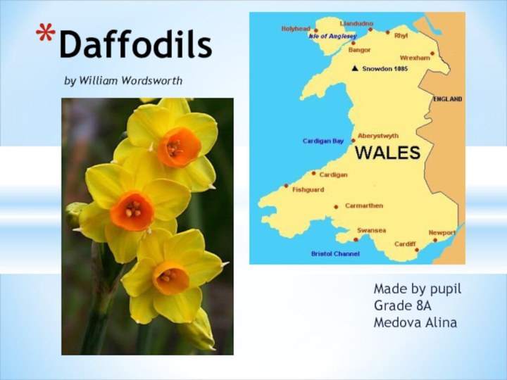 Made by pupil Grade 8A Medova AlinaDaffodils 	by William Wordsworth