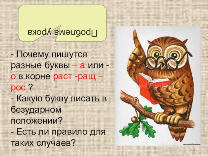 Как пишется растет или ростет правильно слово. Правило почему расти пишется через а правила правила. Как правильно писать расти. Расти или рости как пишется. Почему рост через о а расти через а.