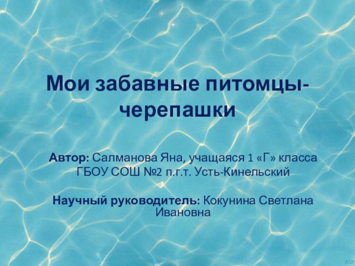 Мои забавные питомцы-черепашкиАвтор: Салманова Яна, учащаяся 1 «Г» класса ГБОУ СОШ №2