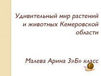 Удивительный мир растений и животных Кемеровской области