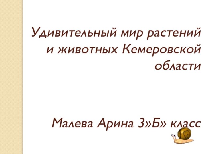 Удивительный мир растений и животных Кемеровской области   Малева Арина 3»Б» класс