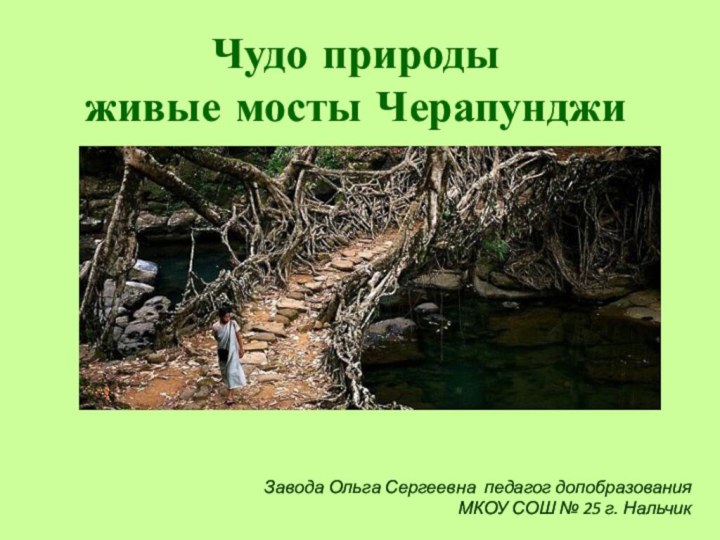 Чудо природы живые мосты ЧерапунджиЗавода Ольга Сергеевна педагог допобразованияМКОУ СОШ № 25 г. Нальчик