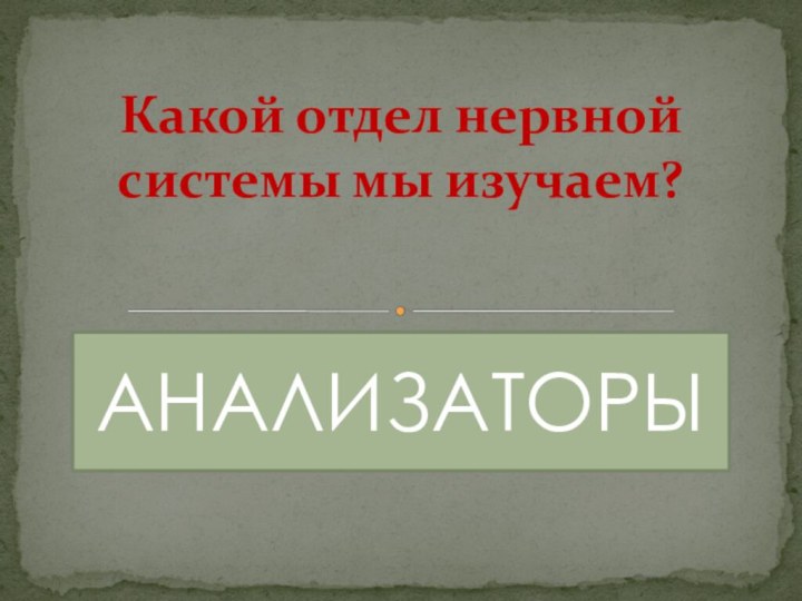 Какой отдел нервной системы мы изучаем?АНАЛИЗАТОРЫ