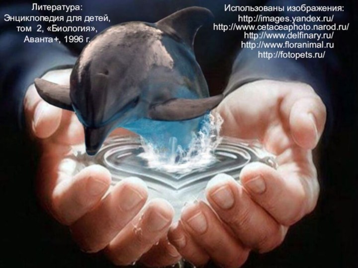 Использованы изображения:http://www.delfinary.ru/http://www.cetaceaphoto.narod.ru/http://www.floranimal.ruhttp://images.yandex.ru/http://fotopets.ru/Литература: Энциклопедия для детей, том 2, «Биология», Аванта+, 1996 г.