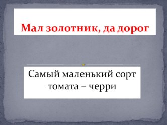 Презентация по теме выращивание томатов черри