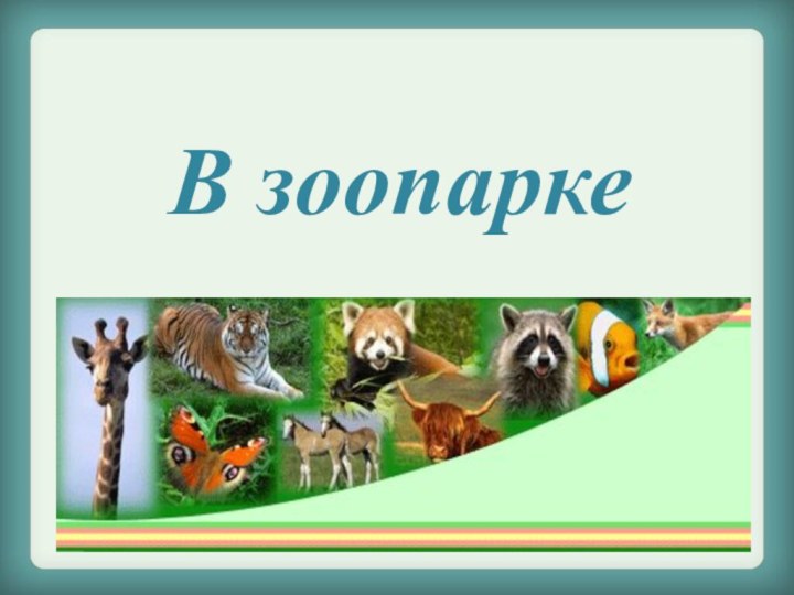 В зоопарке