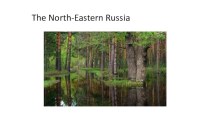 Презентация по английскому языку Culture Corner. The Places of Interest in the North-Eastern Russia.
