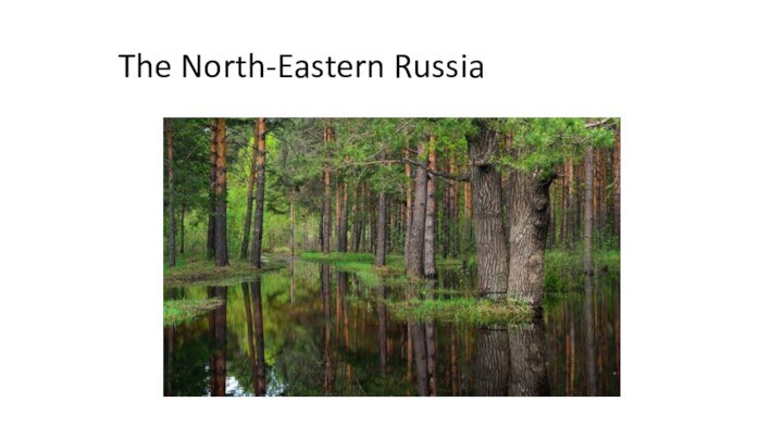 The North-Eastern Russia