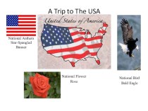 Презентация к уроку английского языка Путешествие в Америку