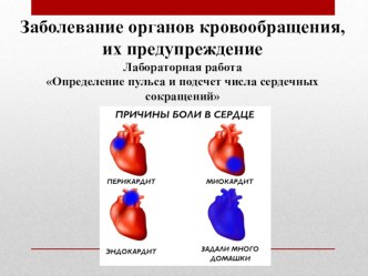 Презентация и лабораторная работа по биологии Заболевания органов кровообращения, их предупреждение