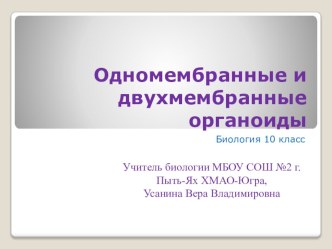 Презентация к уроку по биологии 10 класс Одномембранные и двухмембранные органоиды