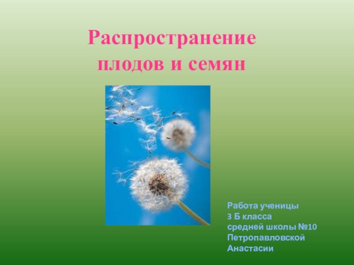 Распространение плодов и семян Работа ученицы 3 Б класса средней школы №10 Петропавловской Анастасии