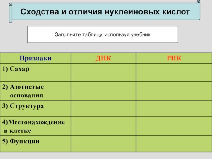 Сходства и отличия нуклеиновых кислотЗаполните таблицу, используя учебник