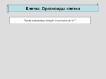 Презентация по биологии на тему Нуклеиновые кислоты