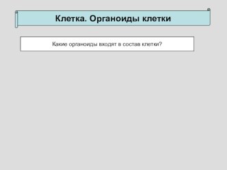 Презентация по биологии на тему Нуклеиновые кислоты