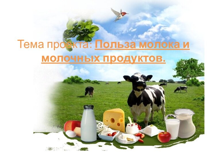 Тема проекта: Польза молока и молочных продуктов.