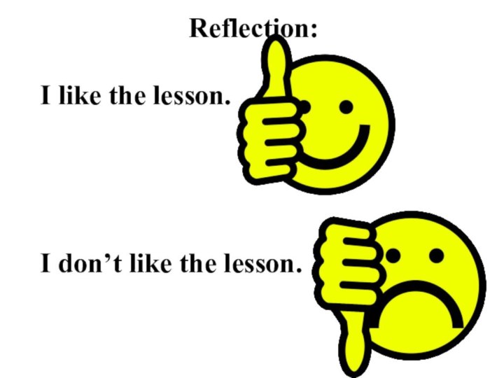 Reflection: I like the lesson.I don’t like the lesson.