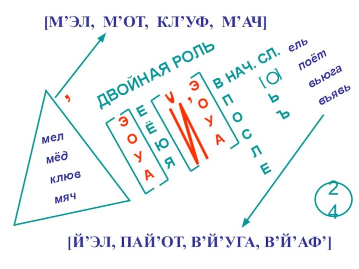 [М’ЭЛ, М’ОТ, КЛ’УФ, М’АЧ]мелмёдклювмяч,ДВОЙНАЯ РОЛЬЭОУАЕЁЮЯЙЭОУАВ НАЧ. СЛ.П    [