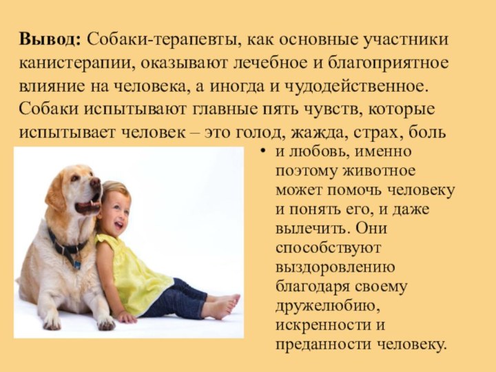 Вывод: Собаки-терапевты, как основные участники канистерапии, оказывают лечебное и благоприятное влияние на