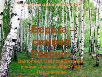 Презентация исследовательской работы на тему Береза - символ России