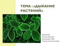 Презентация к уроку на тему: Дыхание растений