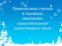 Презентация к уроку Правописание гласных в падежных окончаниях существительных единственного числа в 5 классе