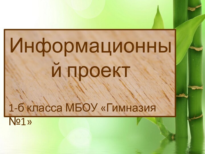 Информационный проект1-б класса МБОУ «Гимназия №1»