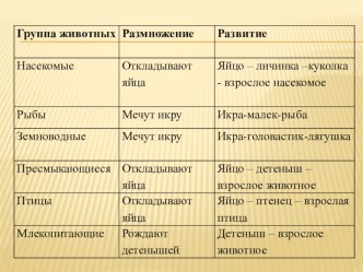 Презентация по окружающему миру Охрана животных 3 класс