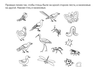 Презентация по ознакомлению с окружающим для детей дошкольного возраста