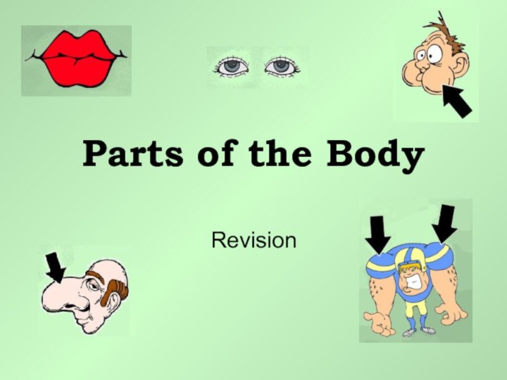 Parts of the BodyRevision