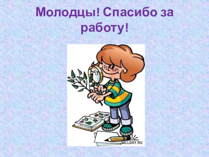 Молодцы! Спасибо за работу!