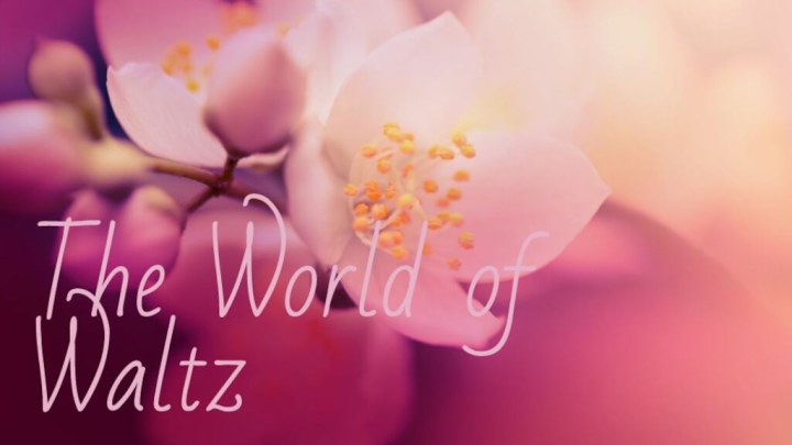 The World of Waltz