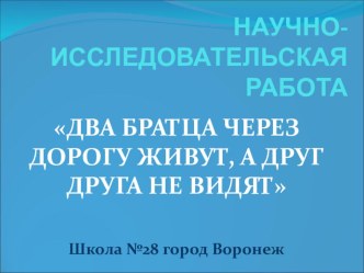 Презентация научно-исследовательской работы на тему Два братца через дорогу живут, а друг друга не видят.