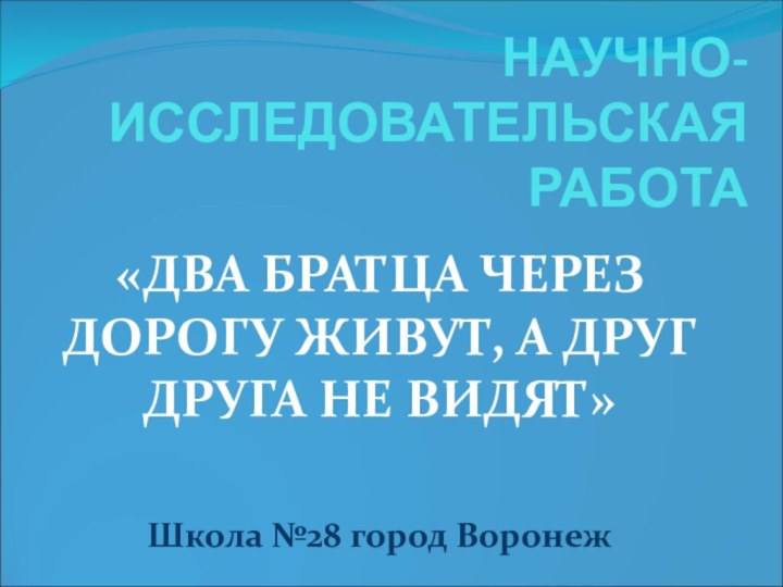 НАУЧНО-ИССЛЕДОВАТЕЛЬСКАЯ РАБОТА«ДВА БРАТЦА ЧЕРЕЗ ДОРОГУ ЖИВУТ, А ДРУГ ДРУГА НЕ ВИДЯТ»Школа №28 город Воронеж