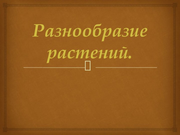 Разнообразие растений.