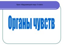 Презентация по окружающему миру Органы чувств