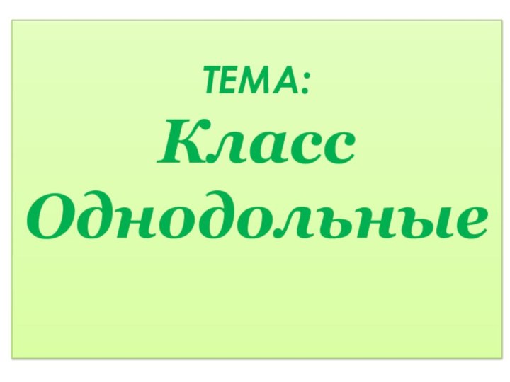 ТЕМА: Класс Однодольные