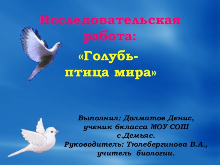 Исследовательская работа:«Голубь- птица мира»Выполнил: Долматов Денис,ученик 6класса МОУ СОШ с.Демьяс.Руководитель: Тюлебергинова В.А.,учитель биологии.