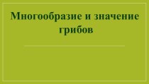 Презентация к уроку биология 5 класс Царство Грибы