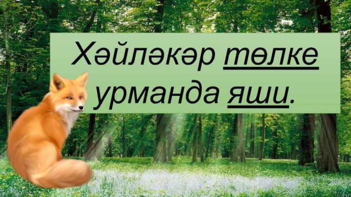 Хәйләкәр төлке урманда яши.