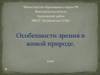 Презентация по физике на тему: Особенности зрения в живой природе