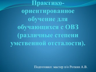 Практико-ориентированное обучение для обучающихся с ОВЗ (различные степени умственной отсталости).